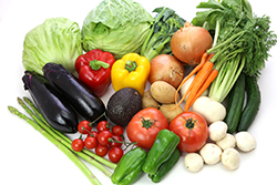 農作物(野菜・果物)のプレハブ冷蔵庫